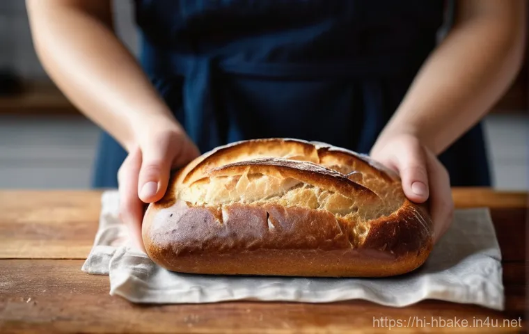 홈베이킹 유행하는 빵 종류 - A close-up shot of a pair of hands, possibly a woman's, gently holding a warm, golden-brown loaf of ...